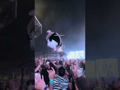 Festival season is almost here