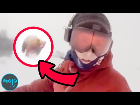 28 Shocking Viral Videos You Didn’t Know Were FAKE