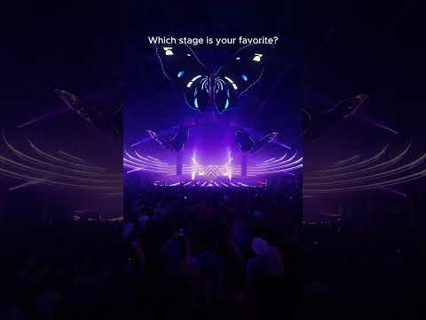 Which stage is your favorite?