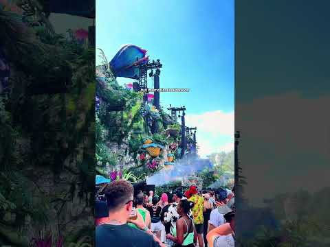 Memories do last forever at Tomorrowland