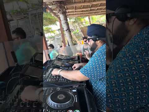 High season high vibes