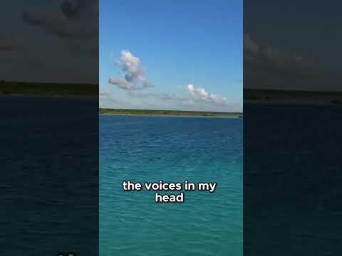 The Voices Inside My Head