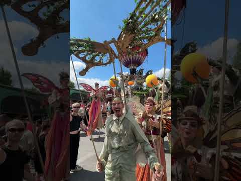 So much beauty at Tomorrowland