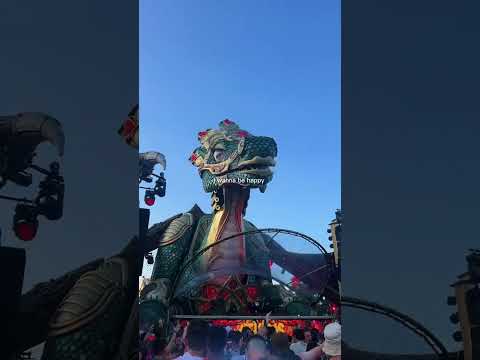 The feeling of being at Tomorrowland