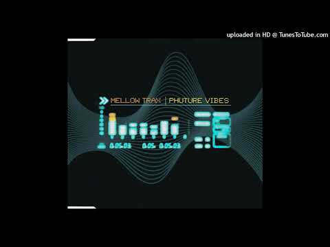 Mellow Trax – Phuture Vibes (Tom Wax Remix)