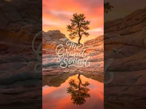 The Meridian – Feeling The Sun #shorts