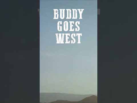 Buddy Goes West | Bud Spencer #shorts #movie #western