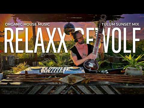 Relaxx Dewolf | Organic House Live Set – Live Flute & Sitar Journey 2026 | By @EPHIMERATulum