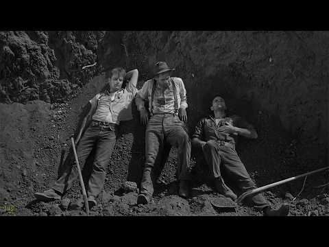 In this Georgia family kinship means anything goes! | God’s Little Acre (1958)