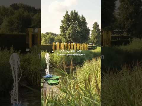 50 days left until Tomorrowland Belgium.