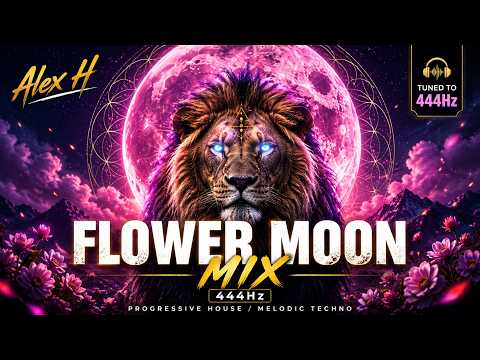 Alex H – Ada (Flower Moon Mix) 🌸🌕 | 221.23Hz Venus Progressive House / Melodic Techno 2026