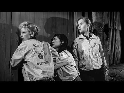 1950s Girl Gangs: The Secret War for the Streets
