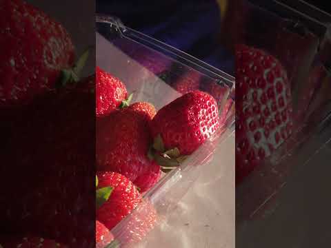beautiful sunset 🌇  some strawberries 🍓  and some whipped cream 🥛  brother 👨