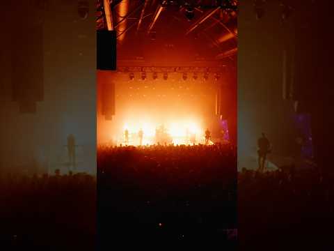 Moments from Chicago last Saturday 🎷 Video by Scott Teresi