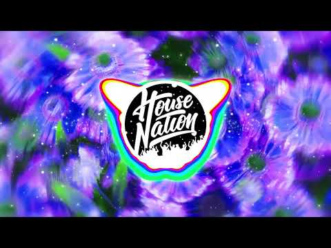 tecadence – teka teka