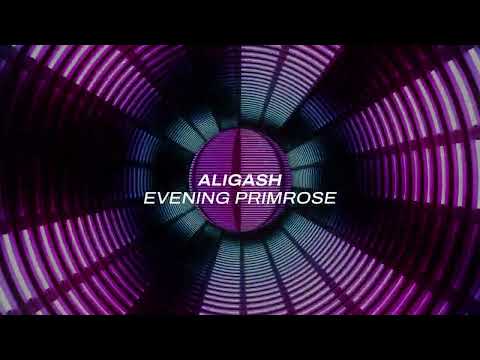 ALIGASH – Evening Primrose