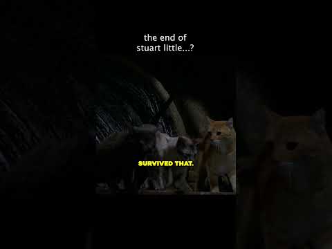 Stuart Little Meets His End…? #sony #moviecentral #stuartlittle