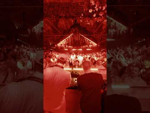A new Björk bootleg lighting up The Hague in the hands of @BraxtonDJ and @JodyWisternoffMusic 🔥
