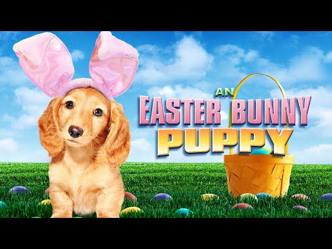 Egg-citing Adventure | An Easter Bunny Puppy | Full Family Movie | Free Movie