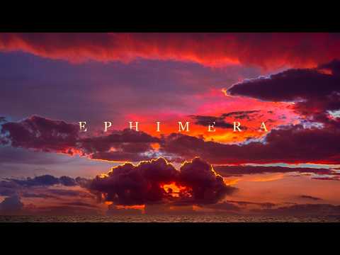 Live | EPHIMERA Tulum