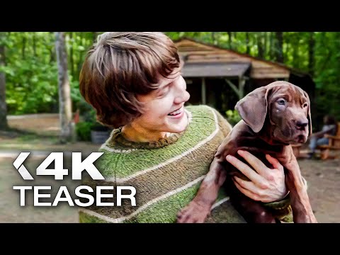 SCOOBY-DOO: ORIGINS Official Teaser Trailer (2027) Netflix
