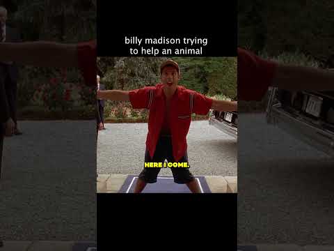 Why Can’t They See He’s Trying To Help?? #universal #moviecentral #billymadison