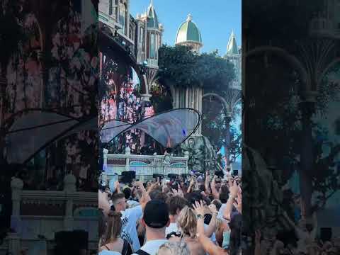 Unforgettable performances across the Holy Grounds