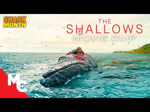 Blake Lively Stranded On A Rock Just 200 Yards From Safety | The Shallows Movie Clip | Shark Month