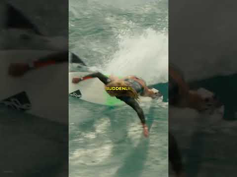 What Would You Do If Shark Bumped Into You #sony #moviecentral #theshallows