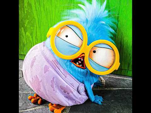 He Had Too Much Sugar 😂 – ANGRY BIRDS 3