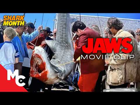 This Marine Biologist Realized They Caught The Wrong Shark | Jaws Movie Clip