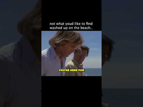 The Harsh Reality Of The Ocean Sometimes #universal #moviecentral #jaws