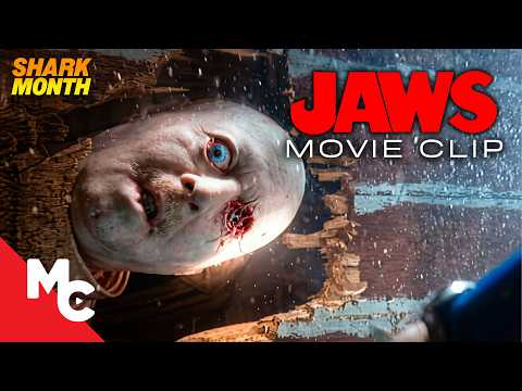 Underwater Discovery Revealed Jaws Was Still Alive | Jaws Movie Clip | Shark Attack Movie Clip