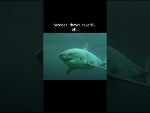 The Girls Are Finally Saved…? #theasylum #moviecentral #sharkseason