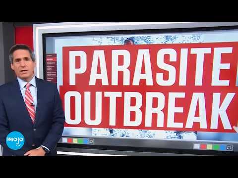 The Cyclospora Outbreak Explained