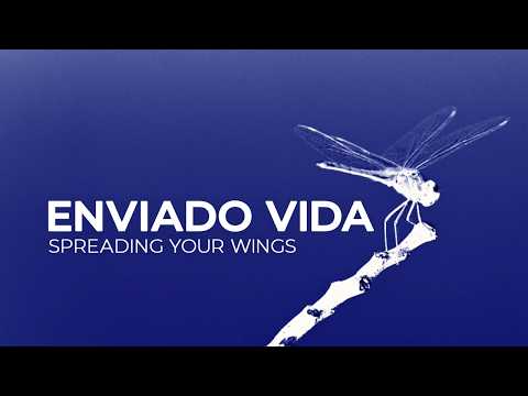 Enviado Vida – Spreading Your Wings [Melodic House | Silk]