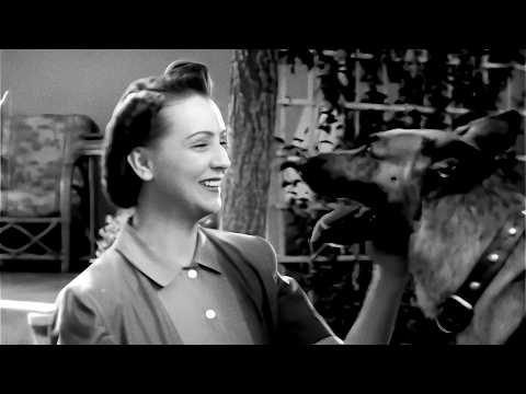 AMERICAN CLASSIC ADVENTURE 🐾 Danny Boy (1946) | Dir. Terry O. Morse