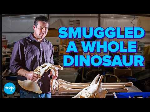 Top 10 Strangest Modern Crime Stories