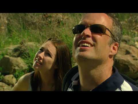 Prehistoric Panic! Dinosaur Island (2009) Shipwrecked on Jurassic Shores