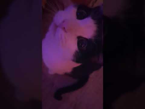 what do u want