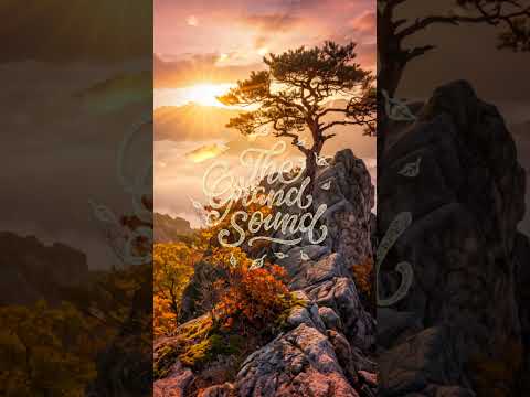 Hayyoo & Ophanim – Breathe #shorts