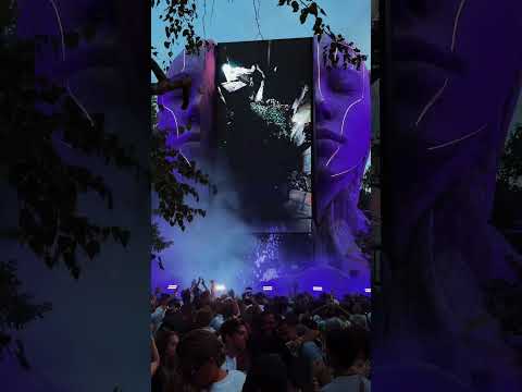 Deep in the forest, surrounded by music and endless discovery.
