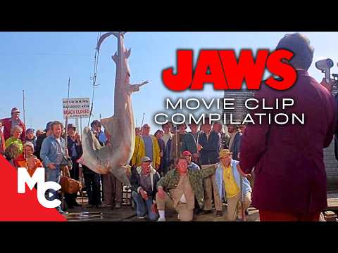 They Thought They Caught Jaws, But They Were Wrong | Jaws | JAWS Movie Compilation