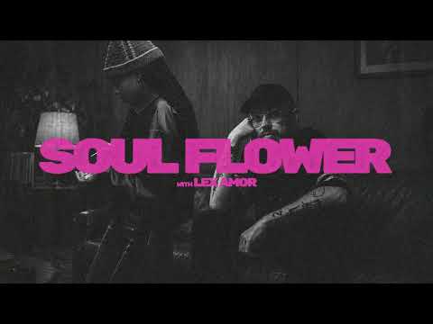Melé feat. Lex Amor – Soul Flower (Move Like Me)