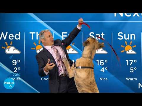 Top 20 Funniest Live TV FAILS
