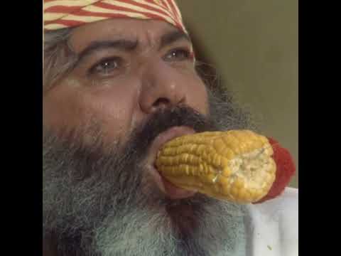 🌽 Corn Scene Cowboy – Seven Nuns in Kansas City