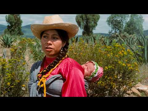 ¡Pobre, pero honrada! (1973) | ¡El Secreto de la Juventud de la India María! 🎬