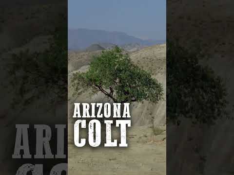 Arizona Colt | Action | Giuliano Gemma | Fernando Sancho | Western | English #shorts #film #trailer