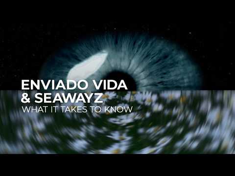 Enviado Vida & Seawayz – What It Takes To Know [Melodic House | Silk]