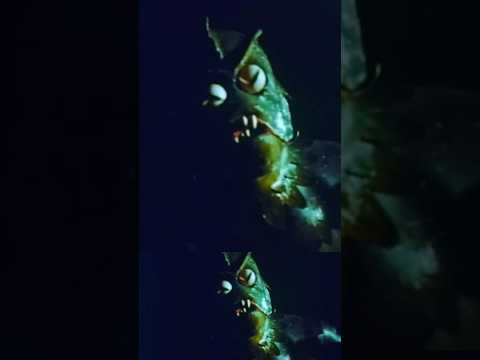 Sea Monster REVEAL #monstermovie #halloween